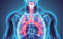 quickly and good results by respiratory covid 19 insufficiency