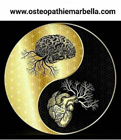 cabinet d ostéopathie Marbella